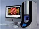 Focus on Microscopy: One Button and Two Heads—Mainstreaming AFM