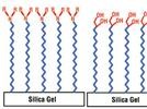 A Weak Cation-Exchange, Reversed-Phase Mixed-Mode HPLC Column and its Applications