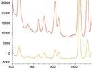 A Versatile Substrate Coated With Silver Nanoparticles for Surface-Enhanced Vibrational Spectroscopy