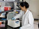 Choosing the Right Centrifuge for Your Application