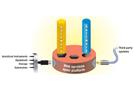 The Challenge of Integrating Information Management Systems Into the Enterprise: How to Make Faster, More Informed Business Decisions With Data