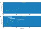 Detection of Sulfur-Containing Metabolites of Asparagus in Urine by SBSE-GC×GC-TOFMS
