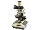 Light Microscopy in the Chemistry Laboratory
