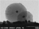 In Situ Gas Heating and Real-Time 3-D Imaging Using a Transmission Electron Microscope