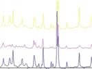 Characterization of D-Mannitol by Thermal Analysis, FTIR, and Raman Spectroscopy
