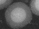 What is “Hot” in Column Technologies for Liquid Chromatography?
