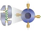 An Immunoaffinity Capillary Electrophoresis Biomarker Analyzer for Use in Toxicoproteomics Research