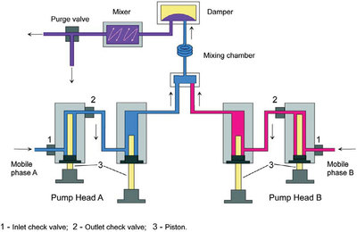 diagram for steam pt Performance Outlet Novel Check Test A Function Valve for