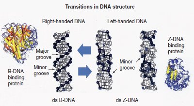 Advanced Techniques For Genomics And Proteomics - 