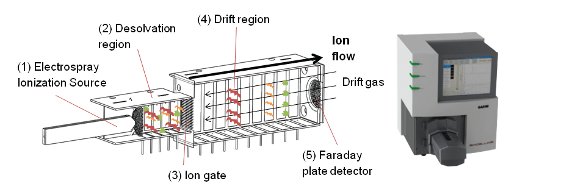 Enhancing ion mobility spectrometry performance through a