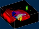 Ultrasensitive 3D Confocal Raman Imaging | American Laboratory