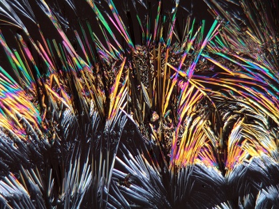 Direct, Real-Time Mass Spectrometry Analysis of Cinnamon