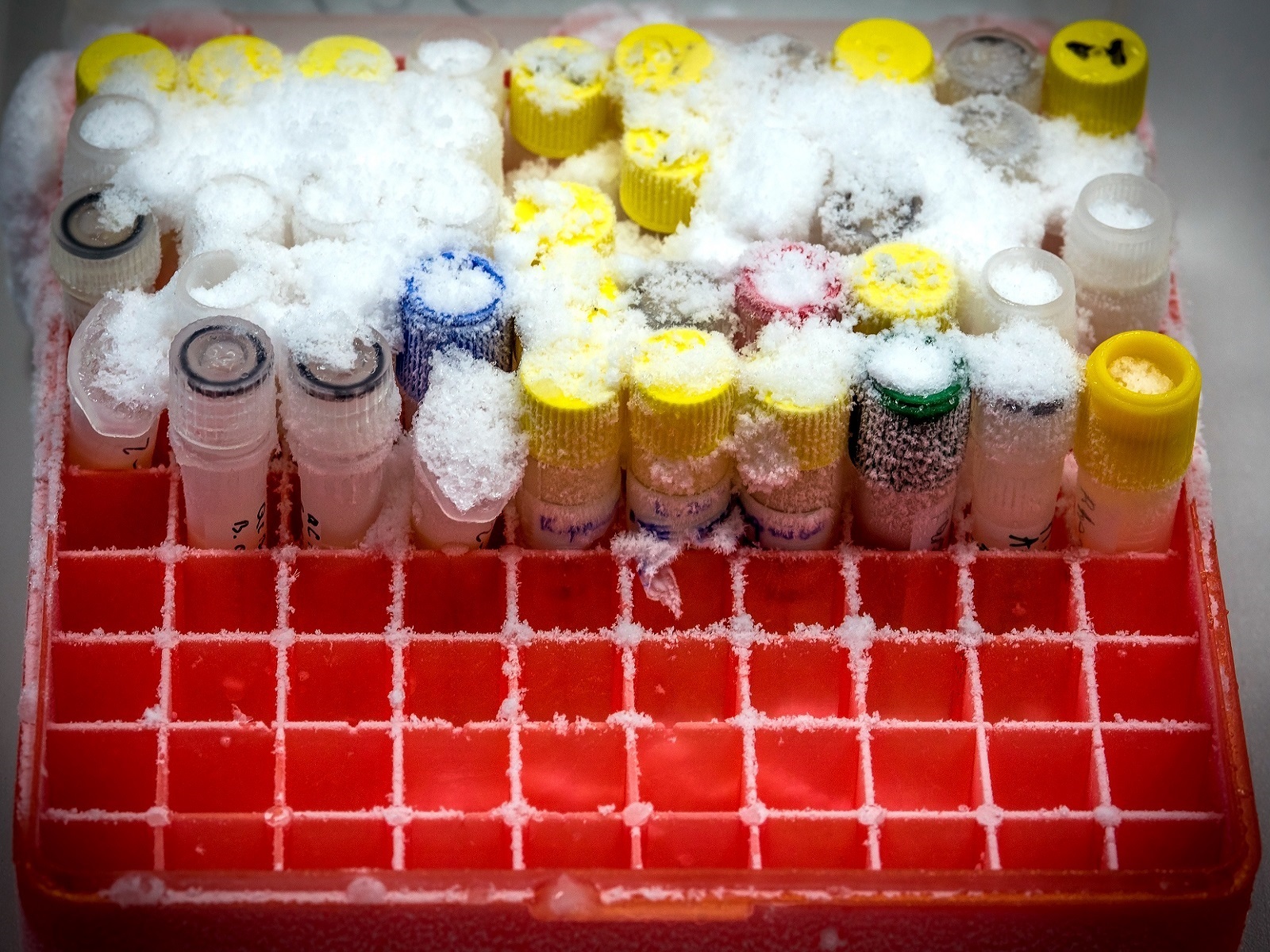 Maximizing Ultralow-Temperature Freezer Performance