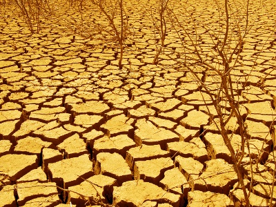 Reports, Random and Relevant