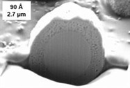 How to Avoid Size Mismatch Between Solutes and Column Pores for Optimum HPLC Performance