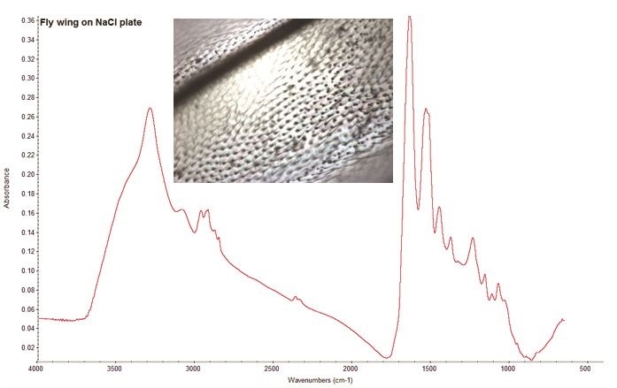 Particulate Analysis of Liquid Filtration Materials and Residues in Food Using FTIR Microscopy