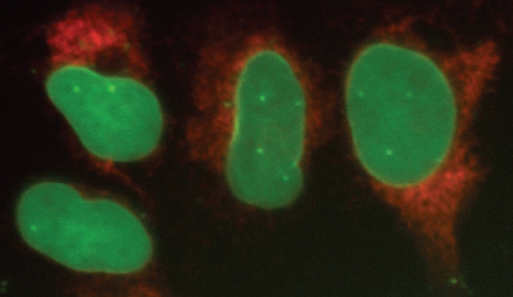 Tech Intelligence: Cutting-Edge CRISPR Tools