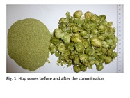 Foodstuff production - a culture of contradictions?