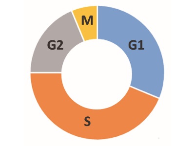 Assay of Metals in Single Cells: A Compelling Application of ICP/MS