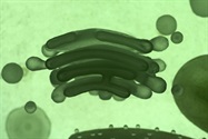 Single-Cell Isolation and Dispensing