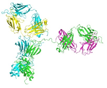 The Evolution of Spectroscopy: A New Technique for Biotherapeutic Formulation