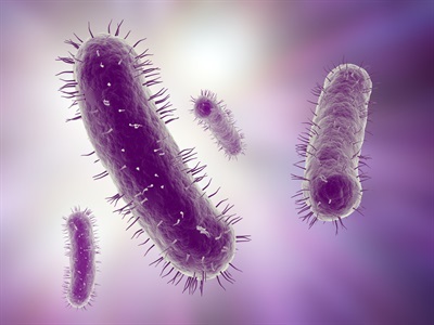 Fifty Years of Scientific Research Equipment