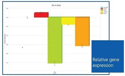 qPCR Provides Ability to Observe Quantitative Replication of DNA in Real Time