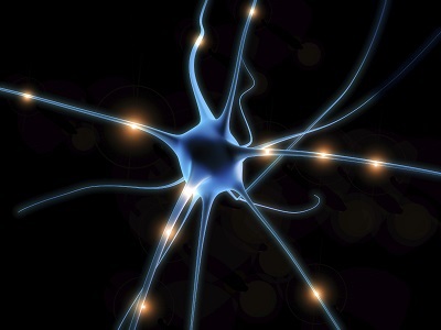 Quality Standards for Primary Cell Starting Material