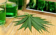 Marijuana Legislation and Usage: Are We A Nation Going to Pot?