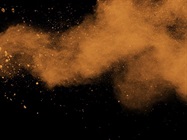 The Fate of Mercury in Forest Fire Ash