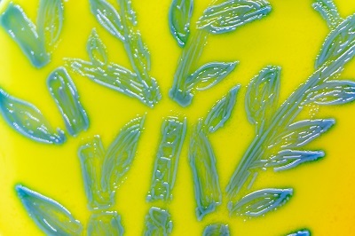 Tech Intelligence: Reading More From Plates