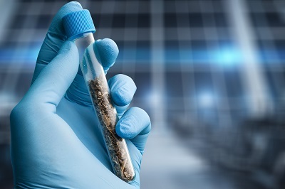 Quantitative Analysis of Cannabinoids in Edibles Using Thermal Desorption-GC/MS
