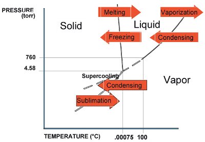 How Freeze Drying Works 