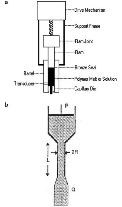 Cellulose And Cellulose Derivatives In The