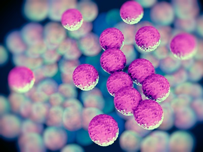 The New Era of the Laboratory