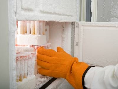  8 Tips to Get the Most Out of Your ULT Freezers