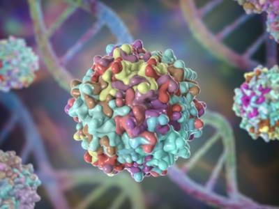  Adeno-Associated Viruses: Considerations for Upstream Process Development