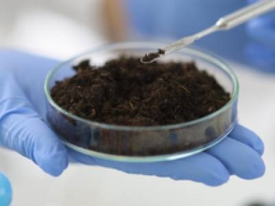  LABTips: Handling 'Glitches' in the Environmental Matrix