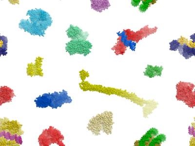  Ask the Scientist: The Present and Future of Proteomics