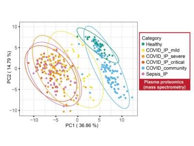  The Significant Role of Proteomics in Drug Development and Precision Medicine