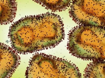 Integrated DNA Technologies Launches Complete NGS Library Preparation Solution for Monkeypox