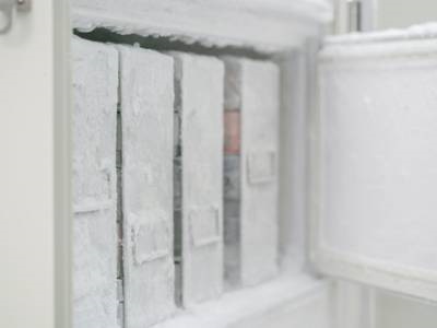  Questions to Ask When Buying an Ultra-low Temperature Freezer
