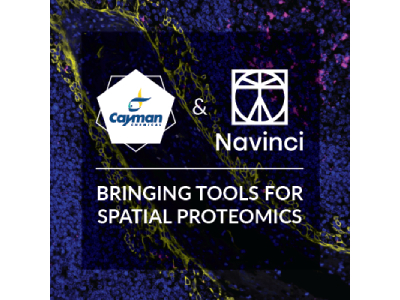 Cayman and Navinci Announce Strategic Partnership, Expanding Access to Next-Generation Tools for Spatial Proteomics