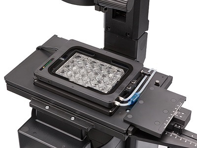  Factors to Consider for Successful Live-Cell Imaging Experiments