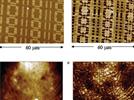 Modern Trends in Atomic Force Microscopy of Soft Matter