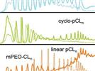 Characterization of Synthetic Block Copolymers by LC-MS